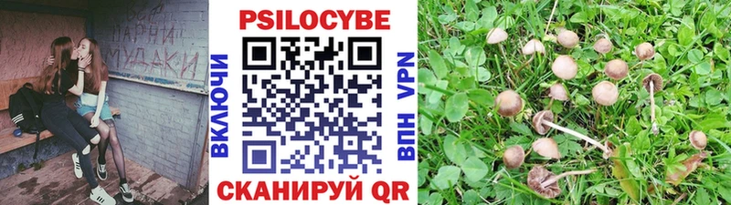 Псилоцибиновые грибы Psilocybine cubensis  цены   Горячий Ключ 
